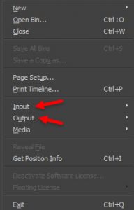 Unter dem Hauptmenüpunkt File gibt es jetzt die Unterpunkte Input und Output.