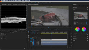 Canon, C200, Screenshot, Premiere, Lumetri