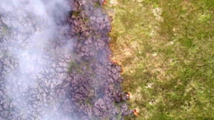 Rory-Peck-Awards, Still, »Paraguay: Poisoned Fields«