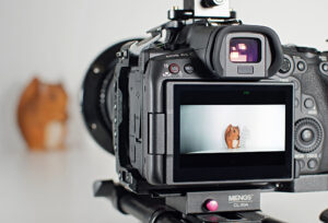 Kamera, Canon, R5 C, © Sas Kaykha