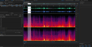 Screenshot, Audition, Rauschfilter, © Sas Kaykha