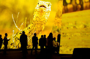 © www.hive.run